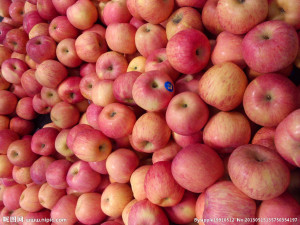 Chinese Fresh Apple with Sweet Taste